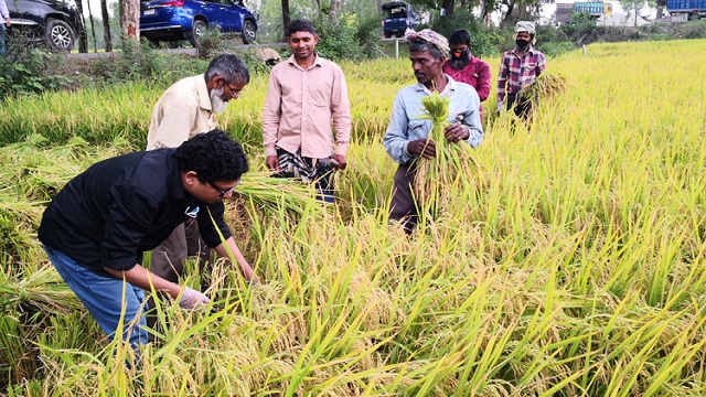 State Minister Palak takes part in harvesting paddy